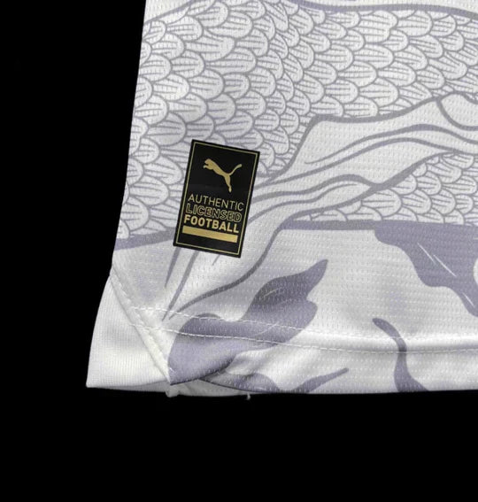 Maillot Manchester City Gris 23/24