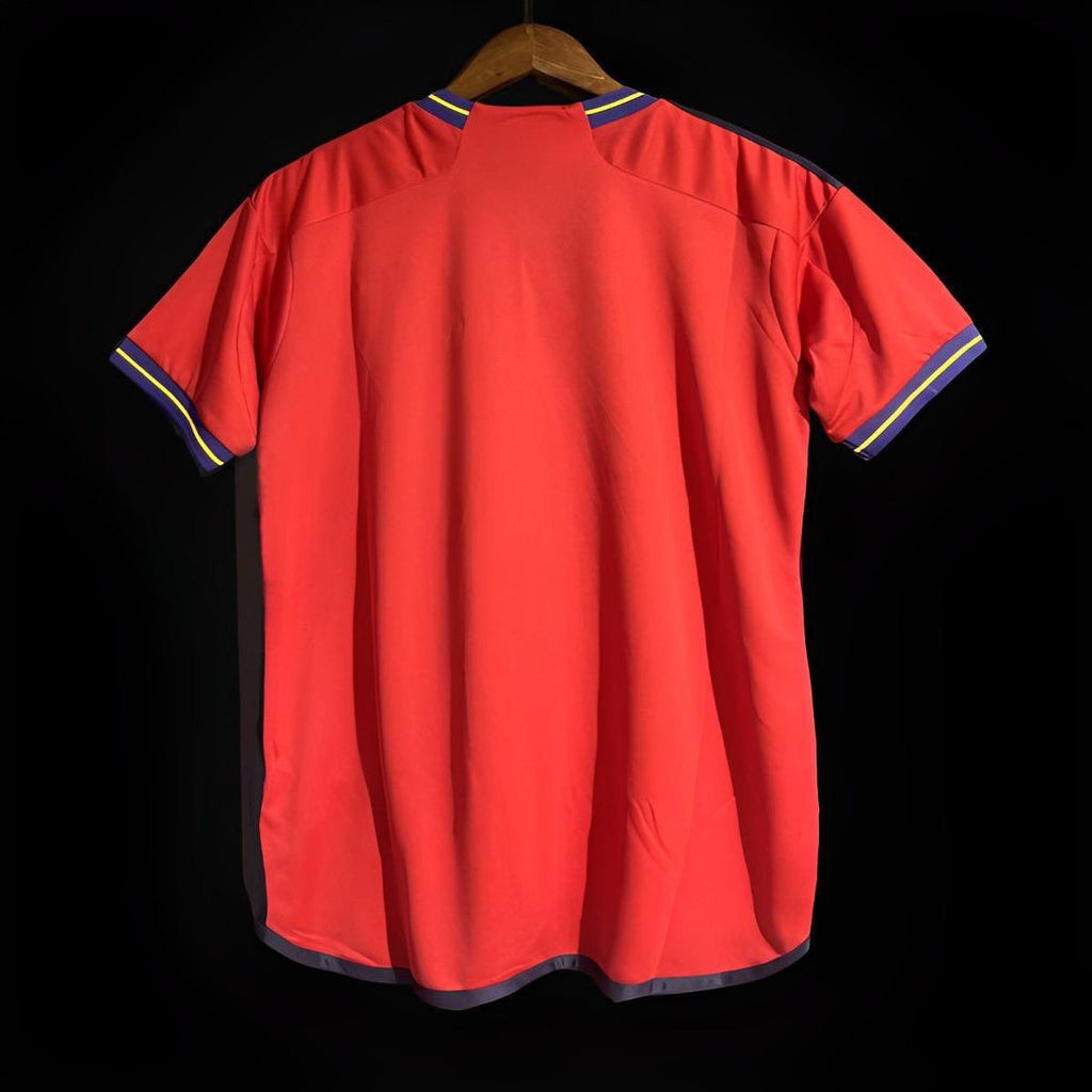 MAILLOT ESPAGNE DOMICILE 2024/25